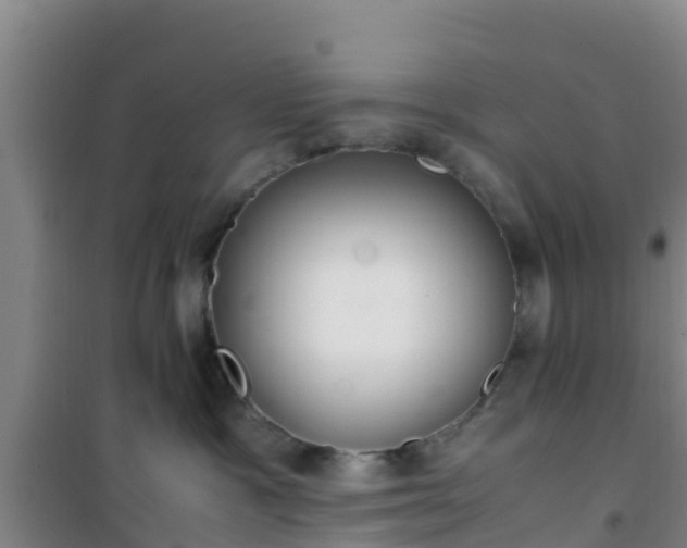 X0000101100333200807031756