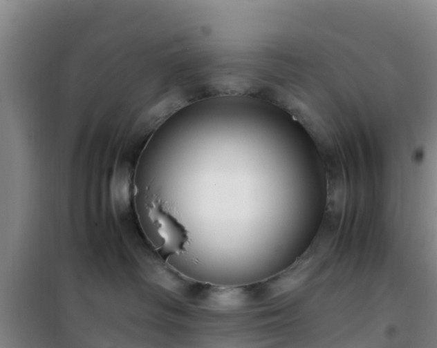 X0000101100334200807031756