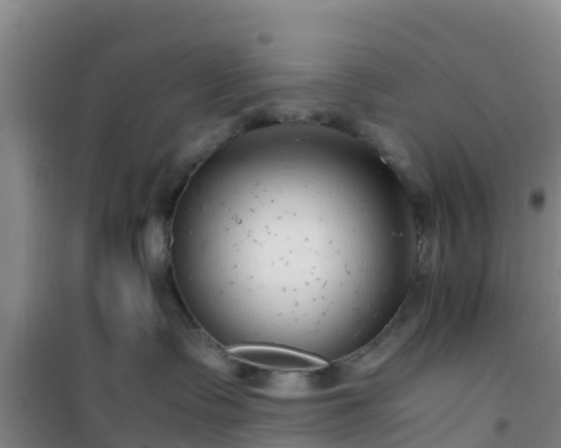 X0000101100335200807031756