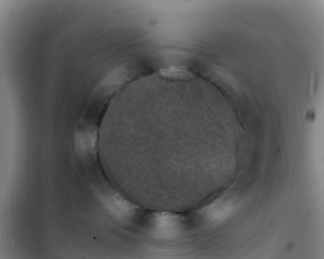 X0000101100336200807031756