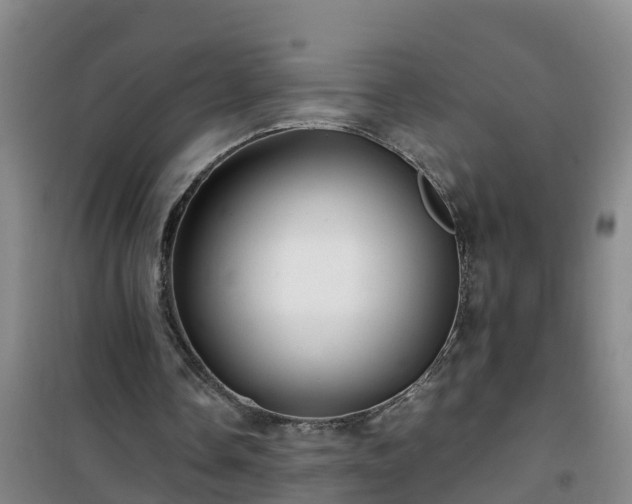 X0000101100338200807031755