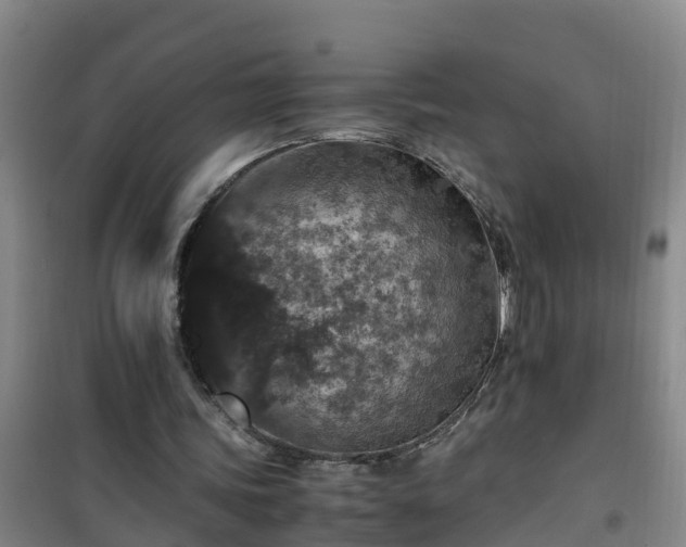 X0000101100339200807031756