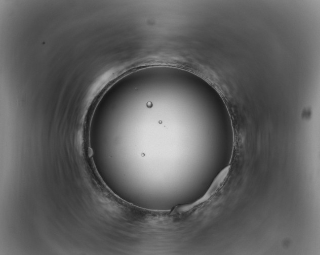 X0000101100340200807031756