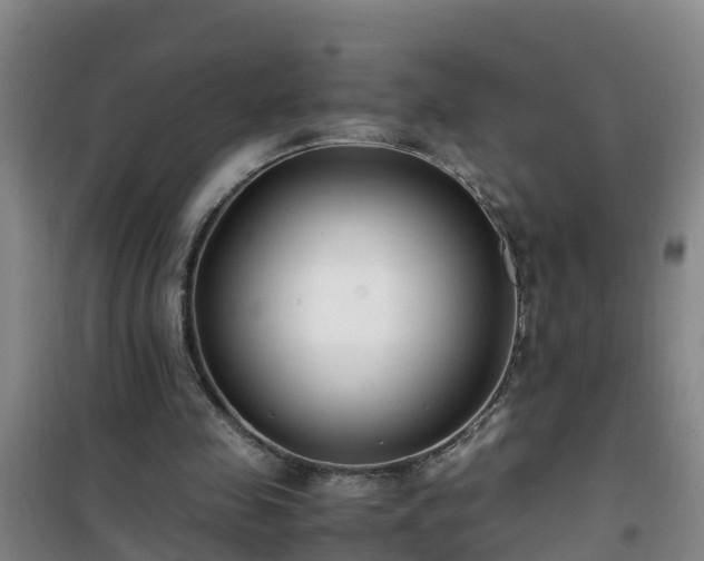 X0000101100341200807031756
