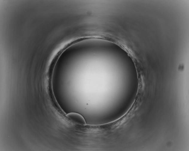 X0000101100342200807031756