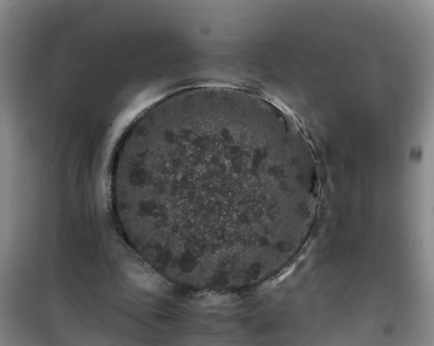X0000101100343200807031756