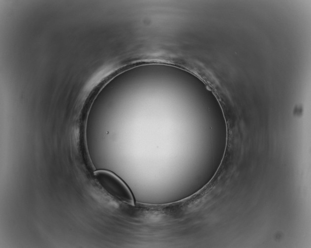 X0000101100344200807031756