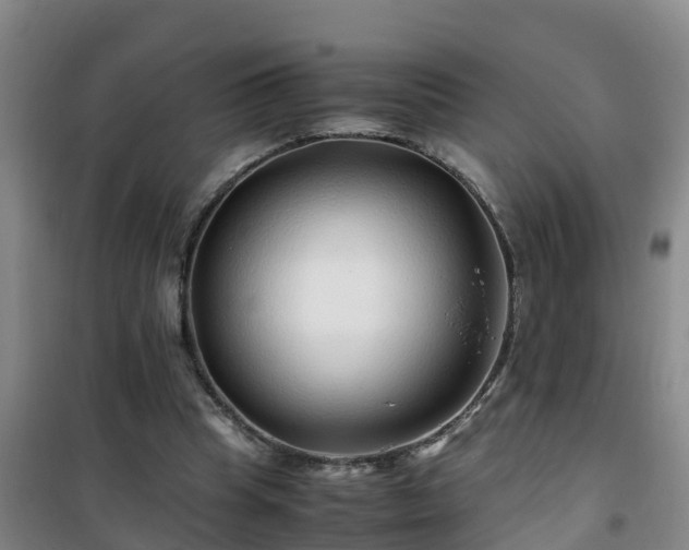 X0000101100345200807031756