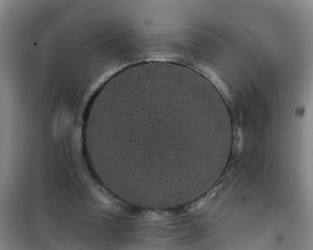 X0000101100346200807031756