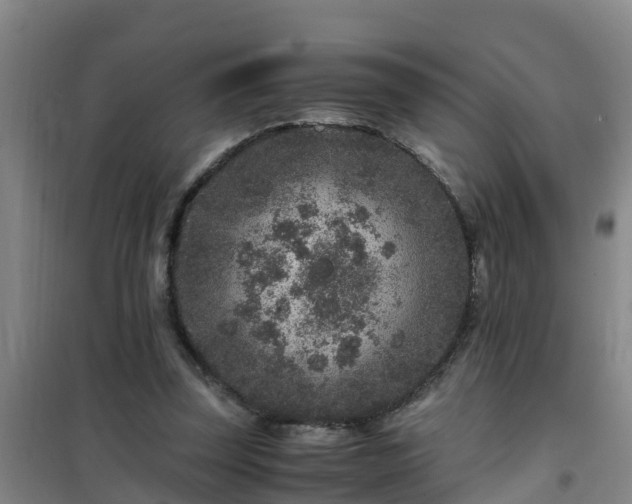 X0000101100347200807031756