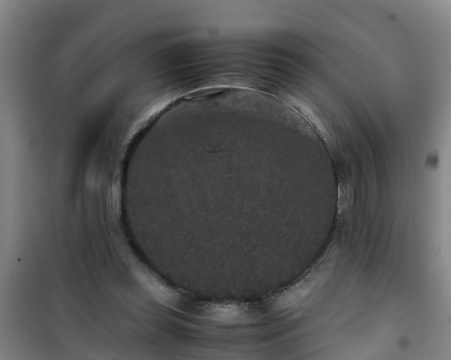 X0000101100349200807031756