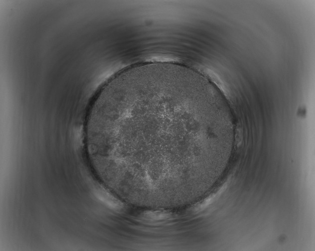 X0000101100351200807031756
