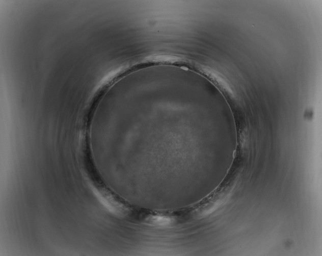 X0000101100352200807031756