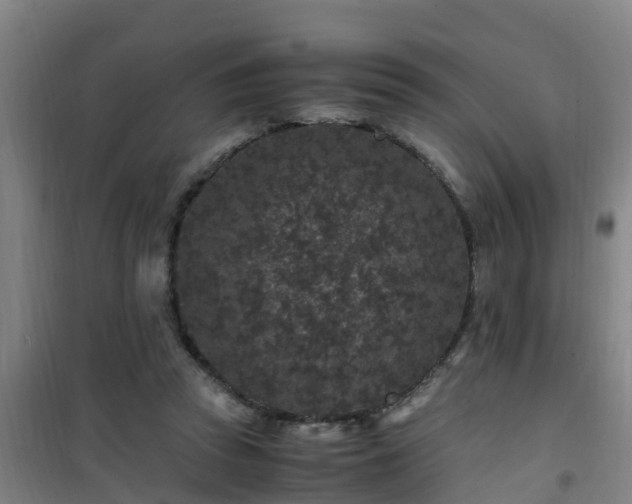 X0000101100353200807031756
