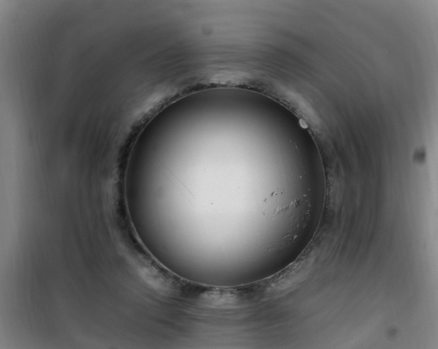 X0000101100354200807031756