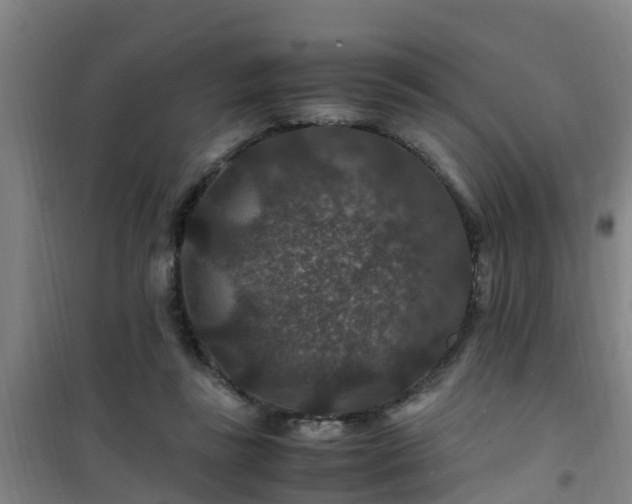 X0000101100355200807031756