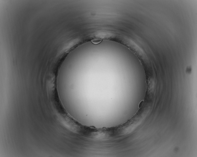 X0000101100356200807031756
