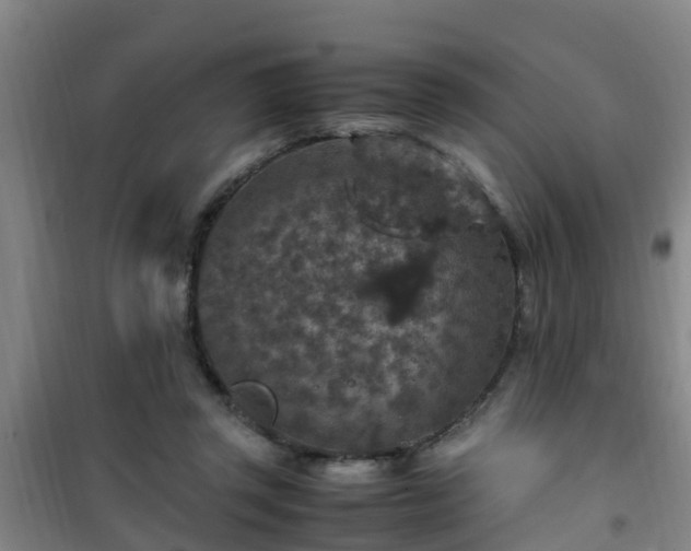 X0000101100357200807031756