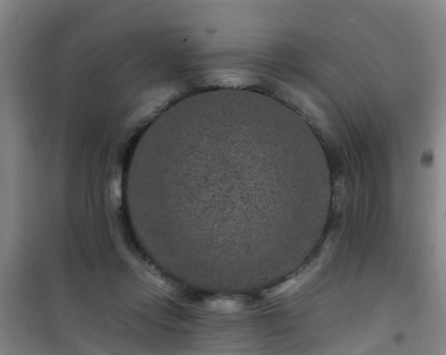 X0000101100358200807031756