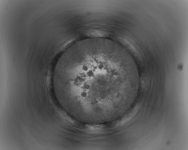 X0000101100359200807031756