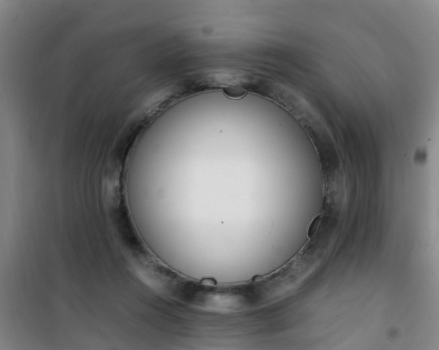X0000101100360200807031756