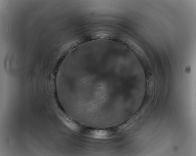 X0000101100361200807031756