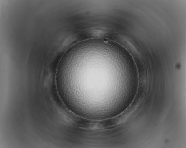 X0000101100363200807031756