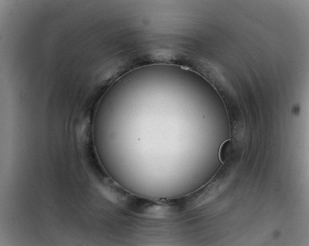 X0000101100364200807031756
