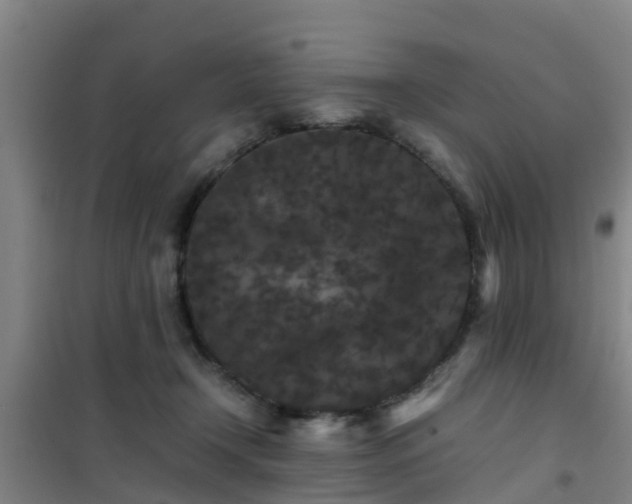 X0000101100366200807031756