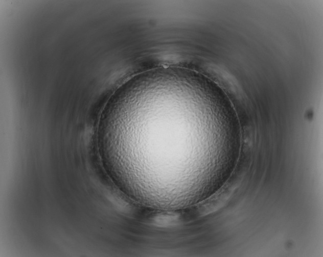 X0000101100369200807031756