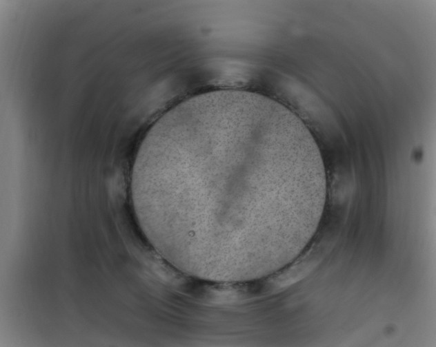 X0000101100370200807031756