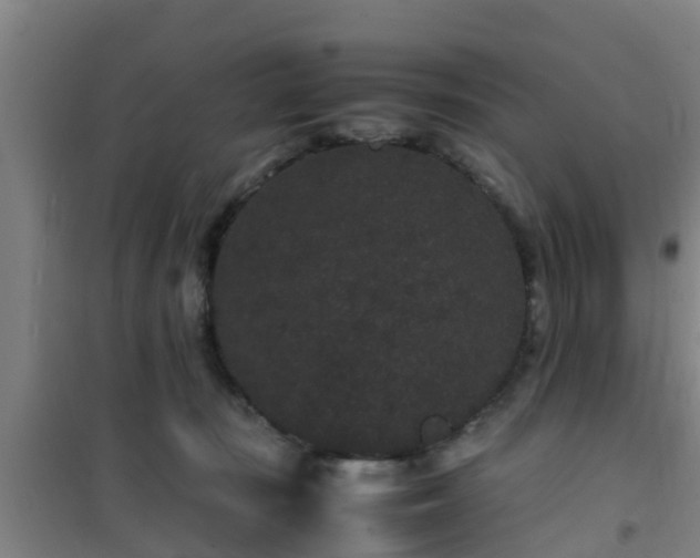 X0000101100371200807031756