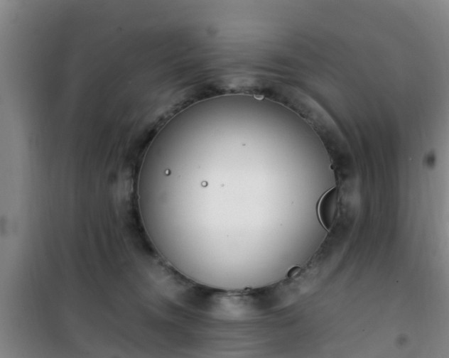 X0000101100372200807031756
