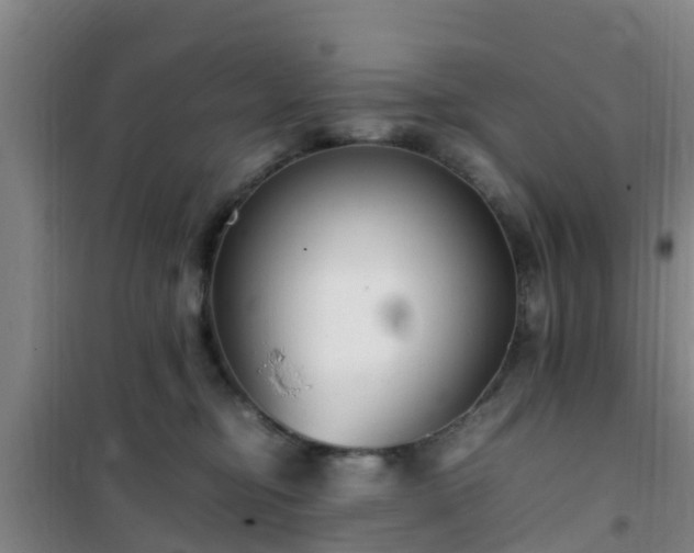 X0000101100374200807031756