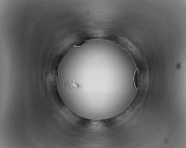 X0000101100376200807031756