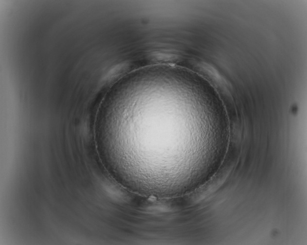 X0000101100377200807031756