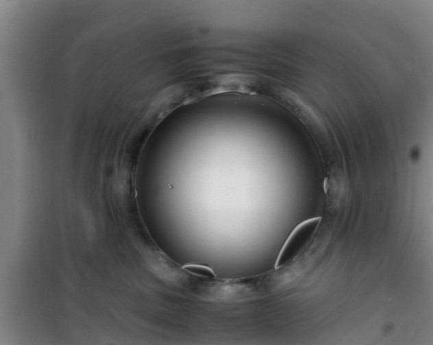 X0000101100379200807031756