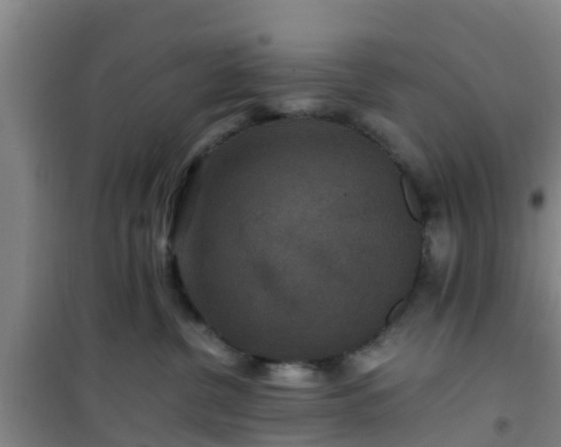 X0000101100380200807031756