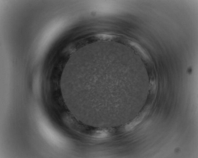 X0000101100381200807031756