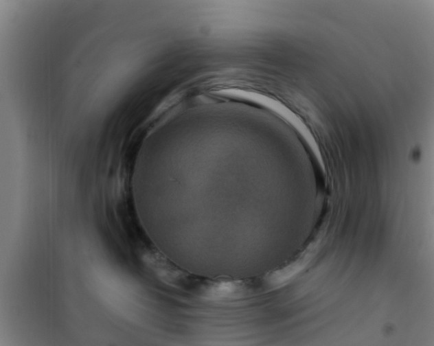 X0000101100382200807031756