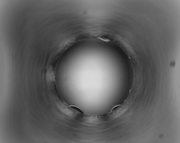 X0000101100384200807031756
