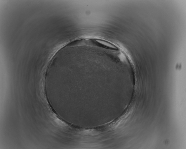 X0000101100385200807031755
