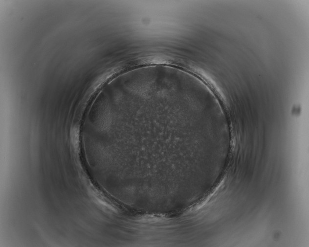 X0000101100386200807031755