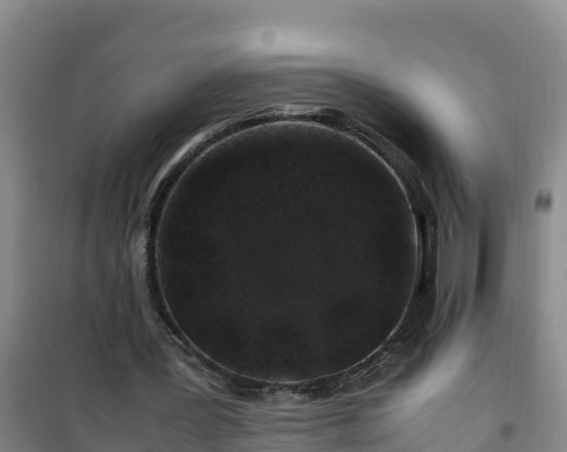 X0000101100387200807031755