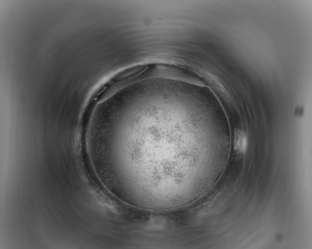X0000101100388200807031755