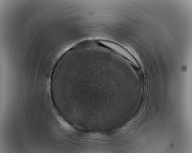 X0000101100389200807031755