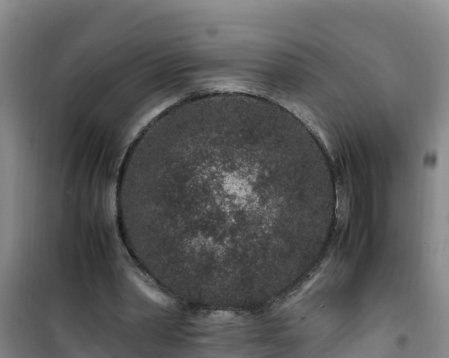 X0000101100390200807031755