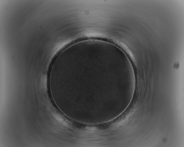 X0000101100391200807031755