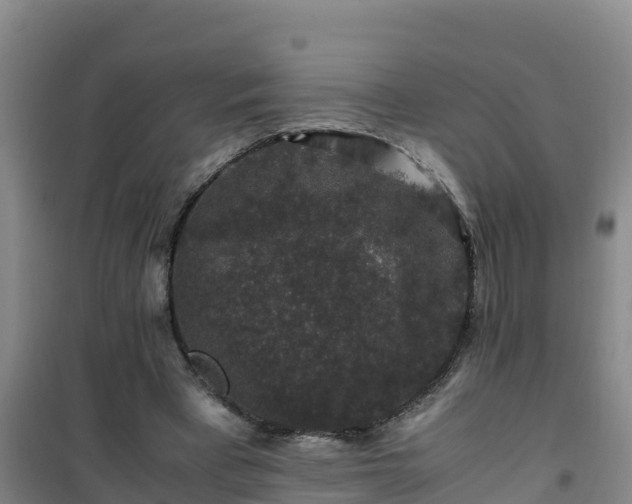 X0000101100393200807031755