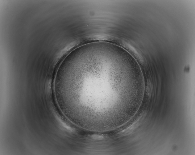 X0000101100394200807031755